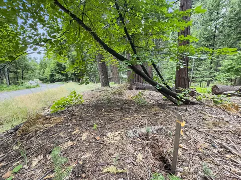 4278 Ottawa Dr, Arnold, CA 95223 photo 13