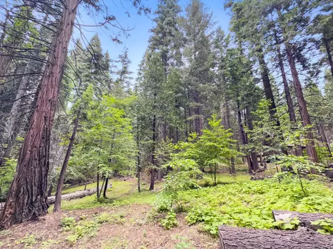 4278 Ottawa Dr, Arnold, CA 95223 photo 2