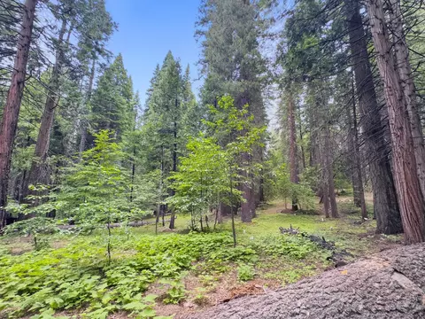 4278 Ottawa Dr, Arnold, CA 95223 photo 10