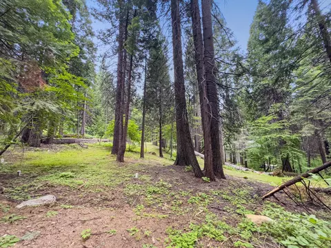 4278 Ottawa Dr, Arnold, CA 95223 photo 8