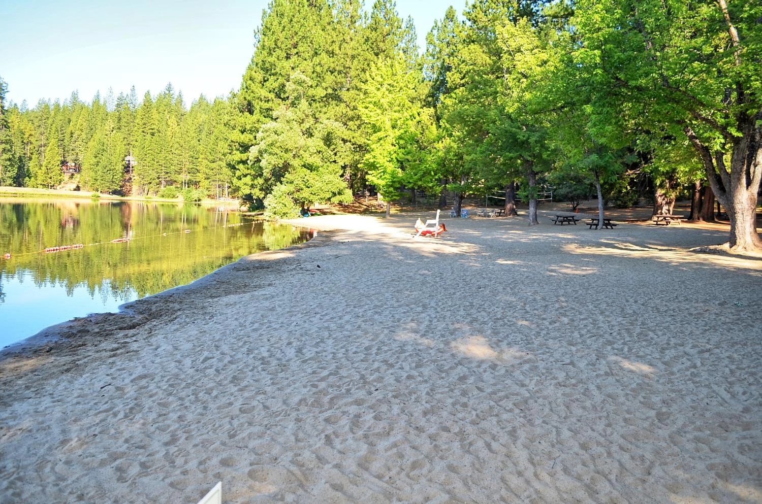 2792 Mckenzie Ave, Arnold, CA 95223 photo 41