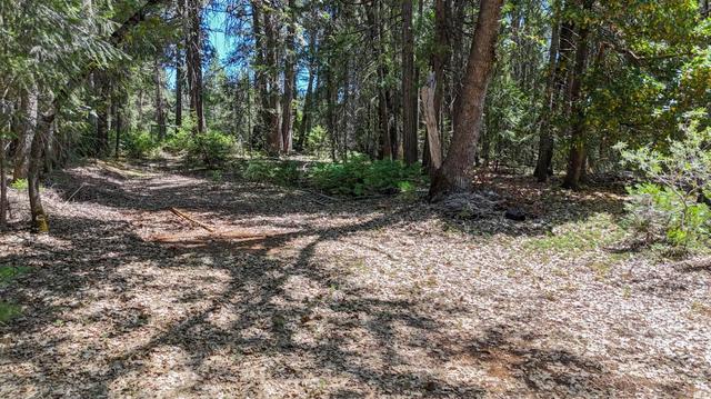 12479 Tesla Pl, Nevada City, CA 95959