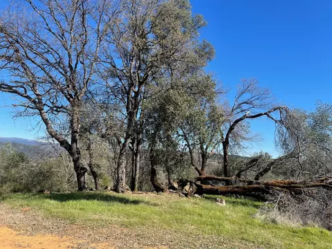 2028 Royal View Dr, Placerville, CA 95667 photo 2