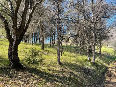 2028 Royal View Dr, Placerville, CA 95667 photo 3