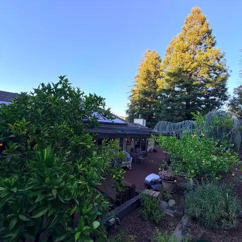 Exterior - 3789 Northridge Dr, Concord, CA 94518 photo 7 of 10