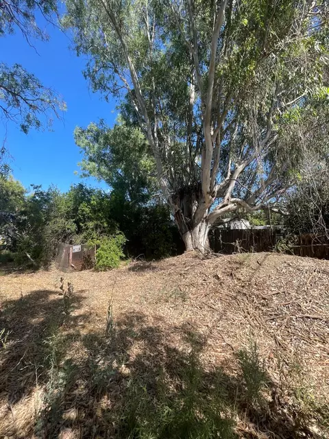 0 9th St, Williams, CA 95987 photo 9