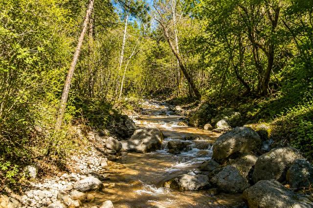 17109 Natchez Creek Rd, Bangor, CA 95914