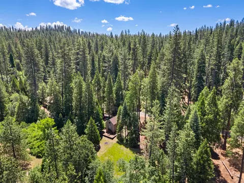 View/Area - 2415 Murphys Dr, Arnold, CA 95223 photo 3 of 3