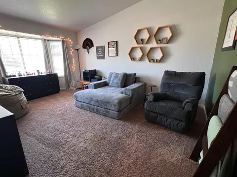 Living - 5016 Tamara Way, Salida, CA 95368 photo 4 of 5