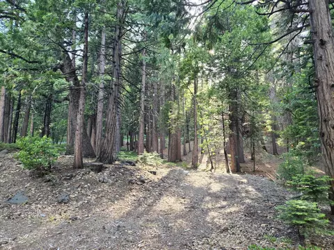 3850 Apache Rd, Dorrington, CA 95223 photo 4