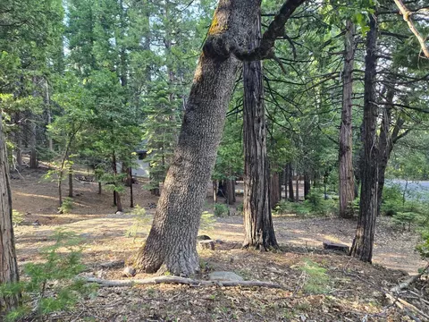 3850 Apache Rd, Dorrington, CA 95223 photo 2