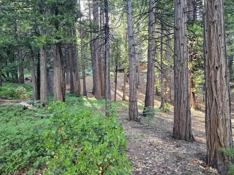 3850 Apache Rd, Dorrington, CA 95223 photo 5