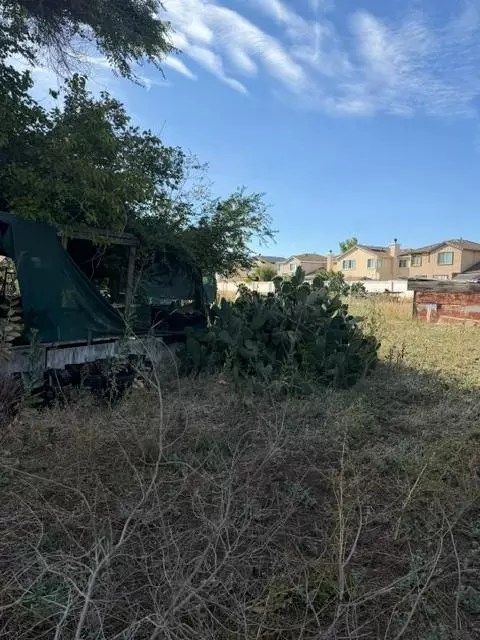 3110 W Byron Rd, Tracy, CA 95377 photo 3