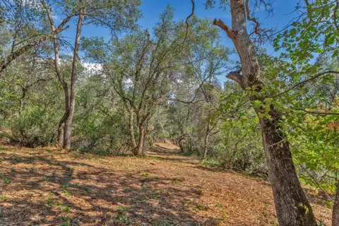 0 Leaning Tree Rd, Placerville, CA 95667 photo 8