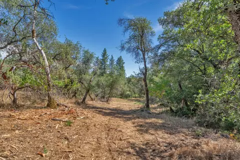 0 Leaning Tree Rd, Placerville, CA 95667 photo 9