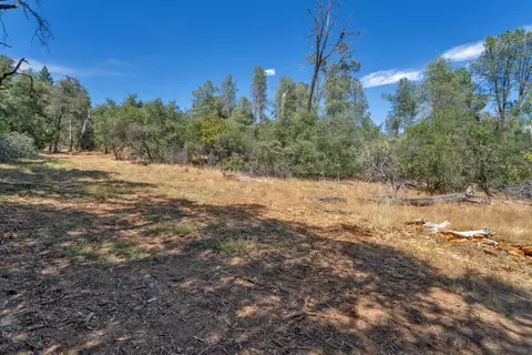 0 Leaning Tree Rd, Placerville, CA 95667 photo 4