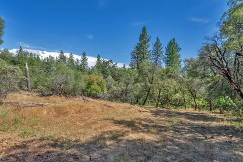 0 Leaning Tree Rd, Placerville, CA 95667 photo 5