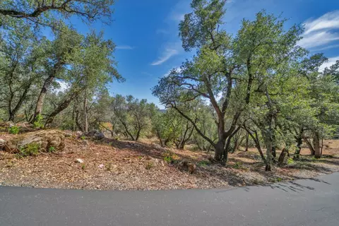 0 Leaning Tree Rd, Placerville, CA 95667 photo 3