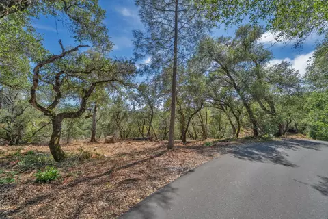 0 Leaning Tree Rd, Placerville, CA 95667 photo 2