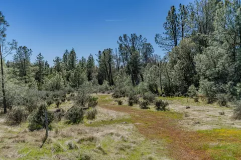 0 Carson Rd, Pioneer, CA 95666