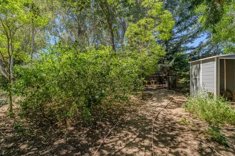 Exterior - 419 Rex Ave, Jackson, CA 95642 photo 30 of 41