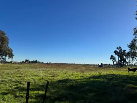 0 Blake Rd, Wilton, CA 95693 photo 3
