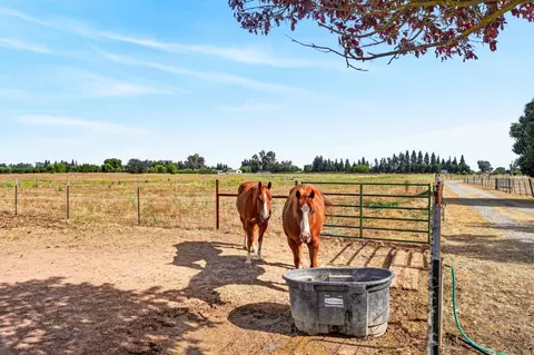 17500 E Collier Rd, Acampo, CA 95220 photo 43