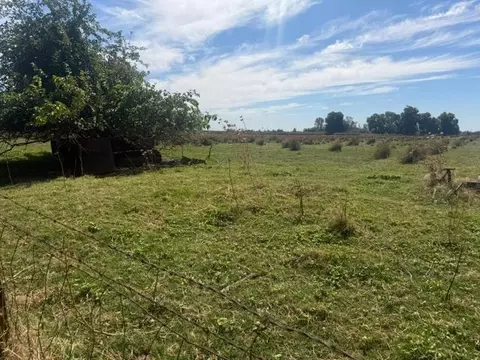 2511 Franklin Rd, Merced, CA 95348 photo 5