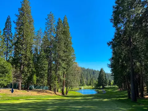 Other - 1675 Evergreen Ln, Arnold, CA 95223 photo 21 of 21