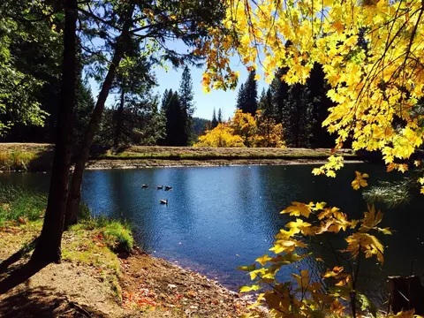 View/Area - 1675 Evergreen Ln, Arnold, CA 95223 photo 1 of 2