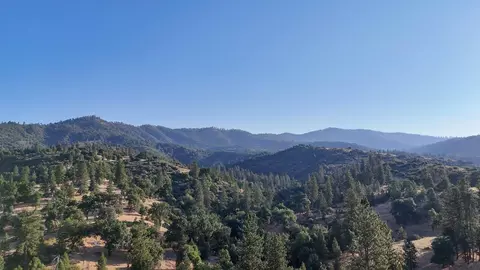 0 Whitaker Forest Rd, Miramonte, CA 93641 photo 35