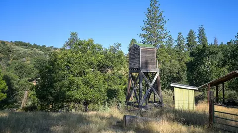 0 Whitaker Forest Rd, Miramonte, CA 93641 photo 76