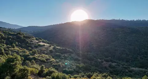 0 Whitaker Forest Rd, Miramonte, CA 93641 photo 16