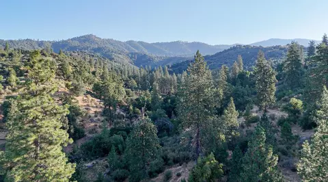 0 Whitaker Forest Rd, Miramonte, CA 93641 photo 20