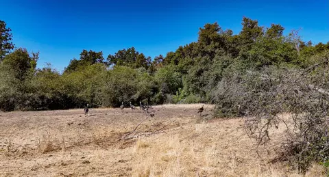 0 Whitaker Forest Rd, Miramonte, CA 93641 photo 7