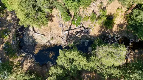 0 Whitaker Forest Rd, Miramonte, CA 93641 photo 63