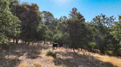 0 Whitaker Forest Rd, Miramonte, CA 93641 photo 15