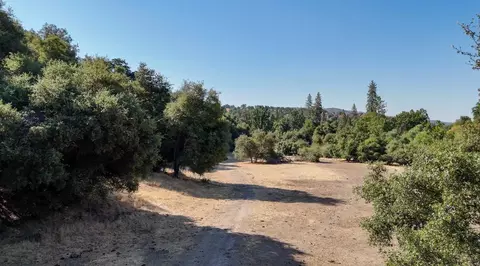 0 Whitaker Forest Rd, Miramonte, CA 93641 photo 55