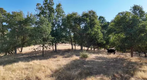 0 Whitaker Forest Rd, Miramonte, CA 93641 photo 14