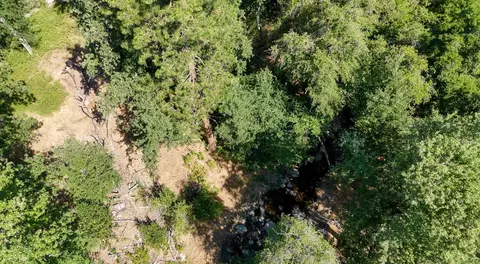 0 Whitaker Forest Rd, Miramonte, CA 93641 photo 64