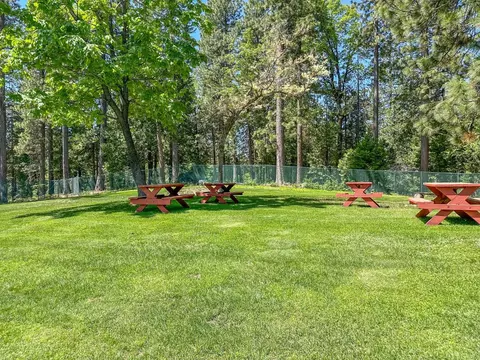 600 Wikami Way, Dorrington, CA 95223 photo 37