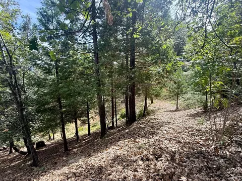 339 Snowberry Ct, Murphys, CA 95247 photo 53
