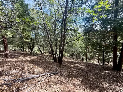 339 Snowberry Ct, Murphys, CA 95247 photo 15