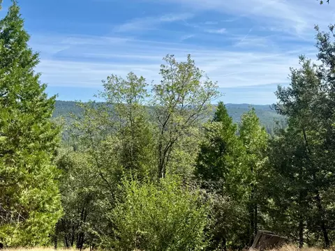 339 Snowberry Ct, Murphys, CA 95247 photo 3