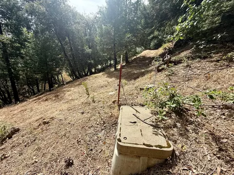 339 Snowberry Ct, Murphys, CA 95247 photo 38
