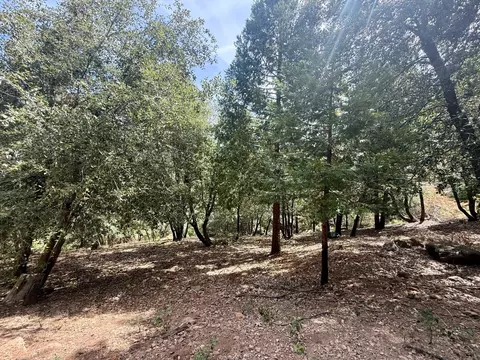 339 Snowberry Ct, Murphys, CA 95247 photo 28
