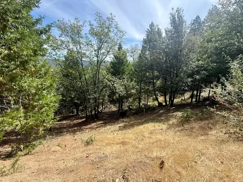339 Snowberry Ct, Murphys, CA 95247 photo 44