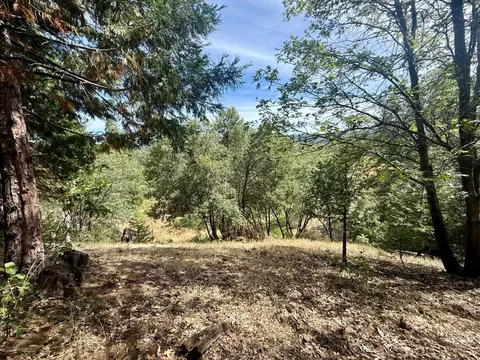339 Snowberry Ct, Murphys, CA 95247 photo 24