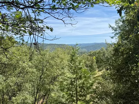 339 Snowberry Ct, Murphys, CA 95247 photo 23