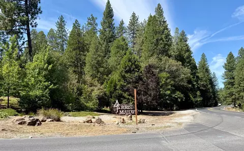 339 Snowberry Ct, Murphys, CA 95247 photo 8